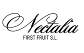 Diseño Web en Huelva
